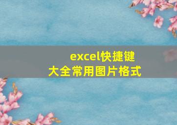 excel快捷键大全常用图片格式