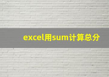 excel用sum计算总分