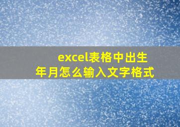 excel表格中出生年月怎么输入文字格式