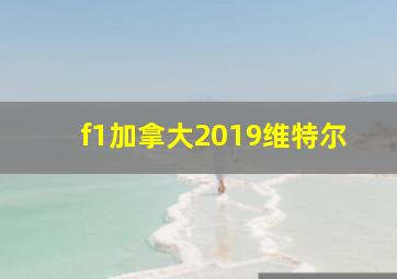 f1加拿大2019维特尔