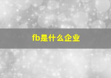 fb是什么企业