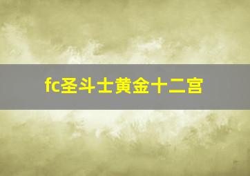 fc圣斗士黄金十二宫