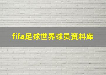 fifa足球世界球员资料库