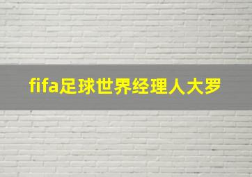 fifa足球世界经理人大罗