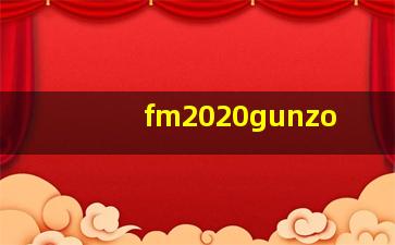 fm2020gunzo