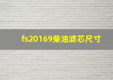 fs20169柴油滤芯尺寸