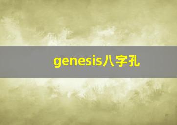 genesis八字孔