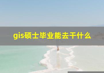 gis硕士毕业能去干什么