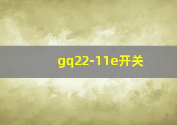 gq22-11e开关