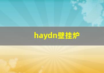 haydn壁挂炉