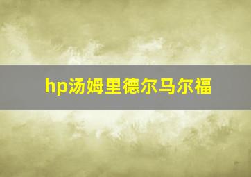 hp汤姆里德尔马尔福