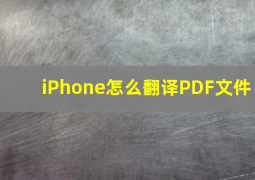 iPhone怎么翻译PDF文件