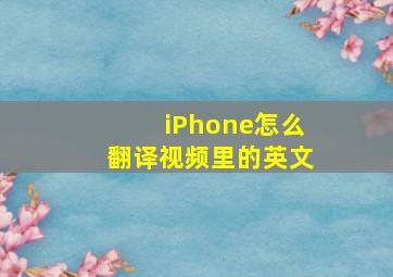 iPhone怎么翻译视频里的英文