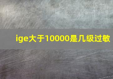 ige大于10000是几级过敏