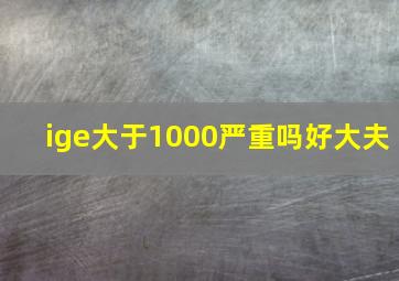 ige大于1000严重吗好大夫