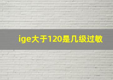 ige大于120是几级过敏