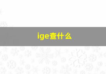 ige查什么