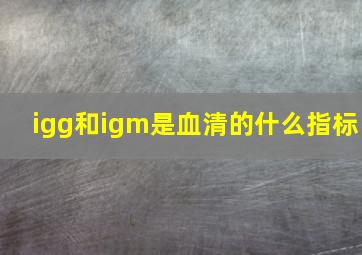 igg和igm是血清的什么指标