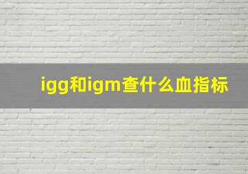 igg和igm查什么血指标