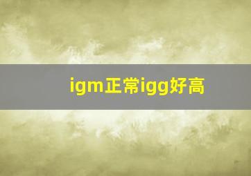 igm正常igg好高