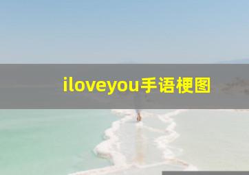 iloveyou手语梗图