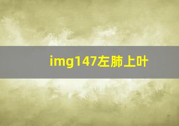 img147左肺上叶