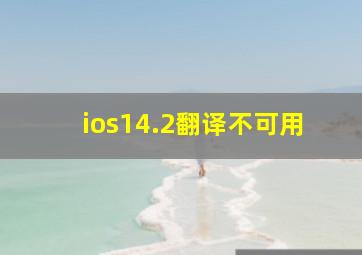 ios14.2翻译不可用