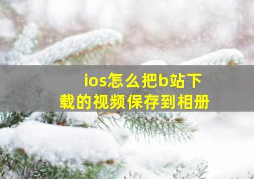 ios怎么把b站下载的视频保存到相册