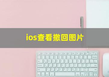 ios查看撤回图片