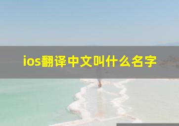 ios翻译中文叫什么名字