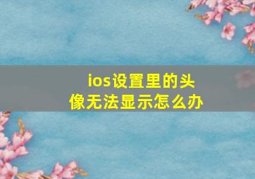 ios设置里的头像无法显示怎么办