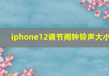 iphone12调节闹钟铃声大小