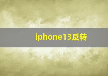 iphone13反转