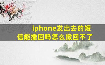 iphone发出去的短信能撤回吗怎么撤回不了