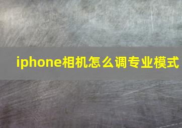 iphone相机怎么调专业模式