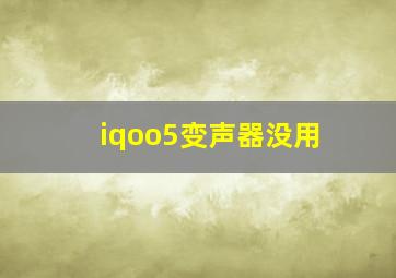 iqoo5变声器没用