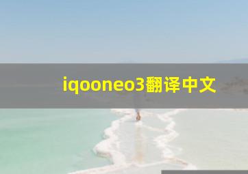 iqooneo3翻译中文