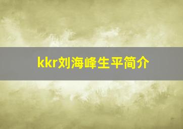 kkr刘海峰生平简介