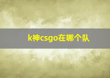 k神csgo在哪个队