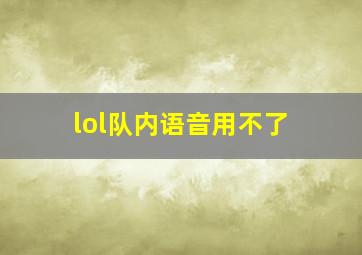 lol队内语音用不了