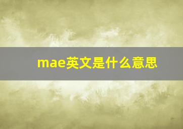 mae英文是什么意思