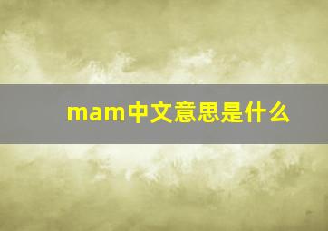 mam中文意思是什么