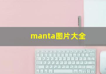 manta图片大全