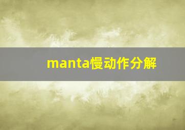 manta慢动作分解