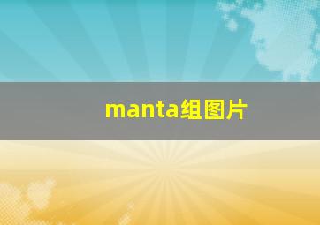 manta组图片