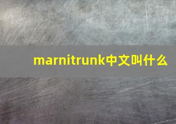 marnitrunk中文叫什么