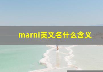 marni英文名什么含义