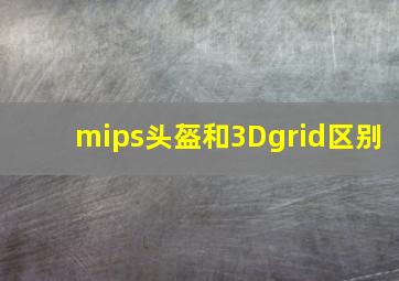 mips头盔和3Dgrid区别