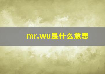 mr.wu是什么意思