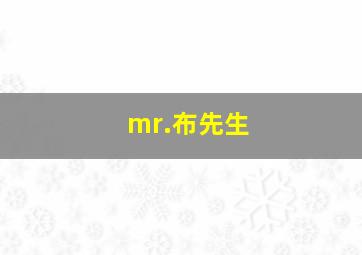 mr.布先生